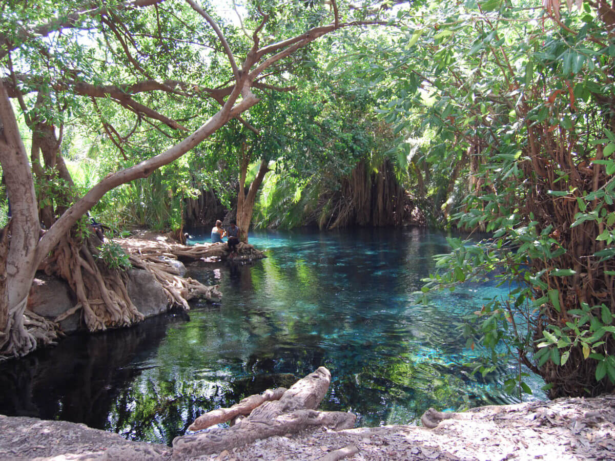 Tanzania Day Trip