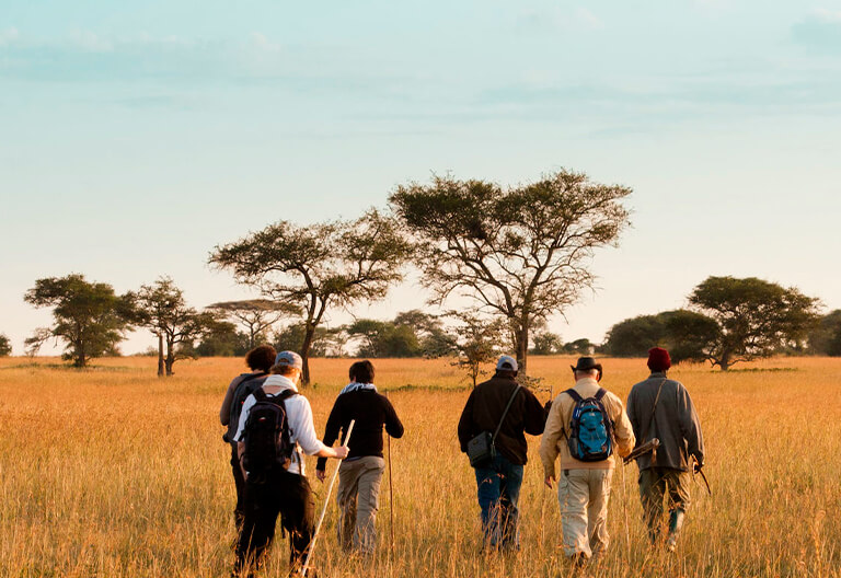 Walking safari in Tarangire