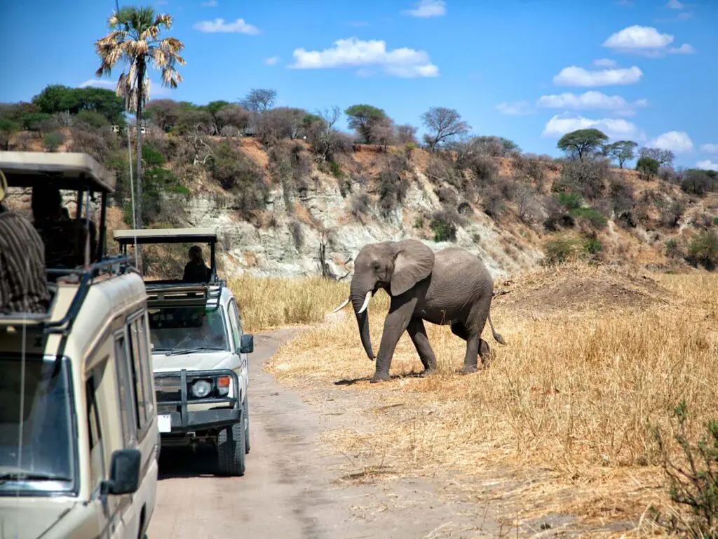Game drive in Tarangire National Park