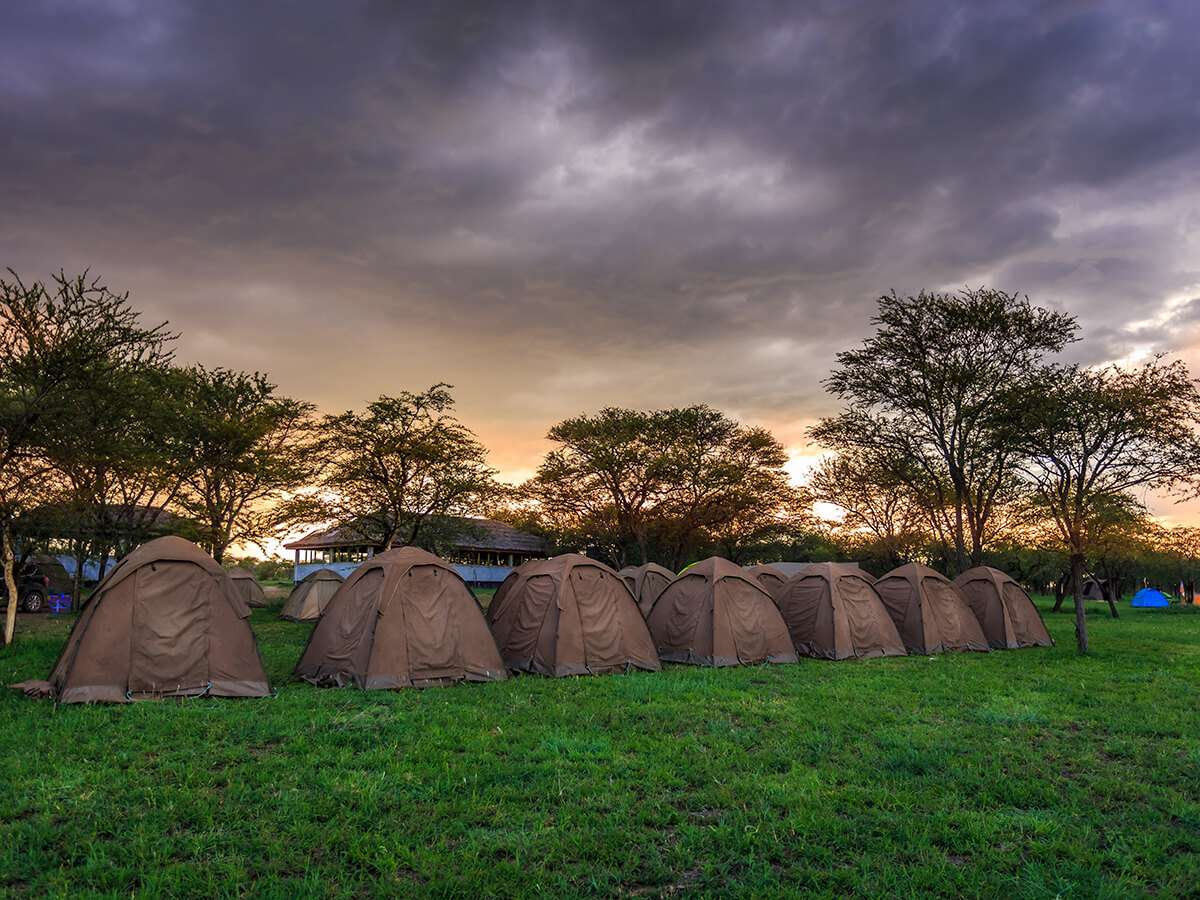 Budget safari camp