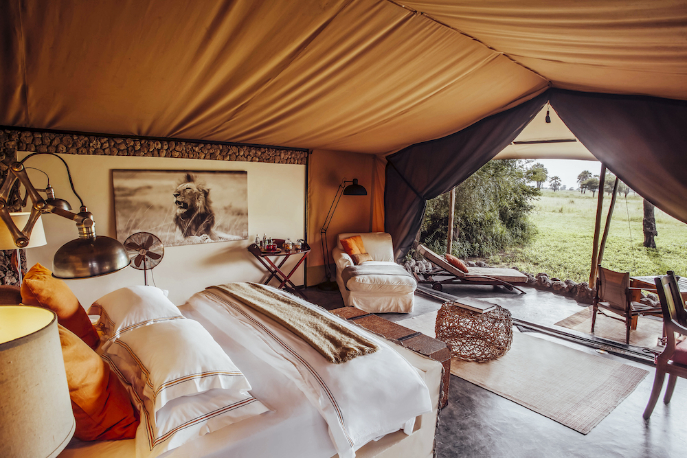 Luxury safari lodge