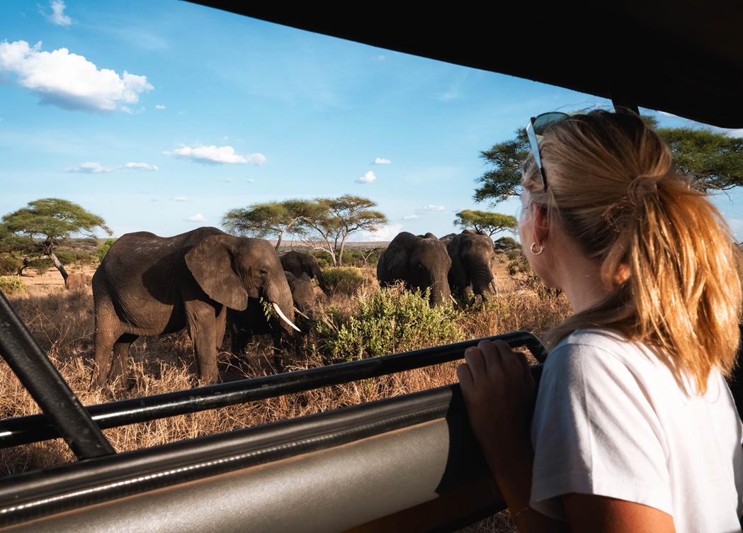 Tanzania safari
