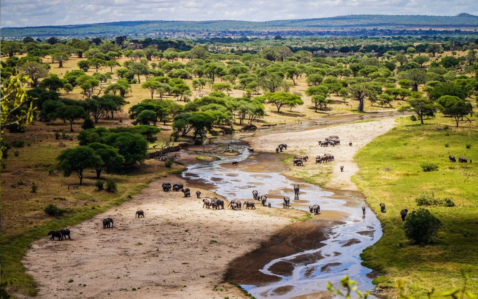 Tarangire landscape